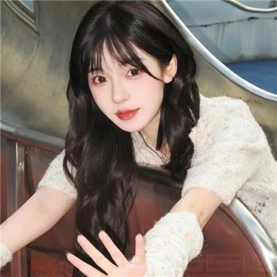 小说王